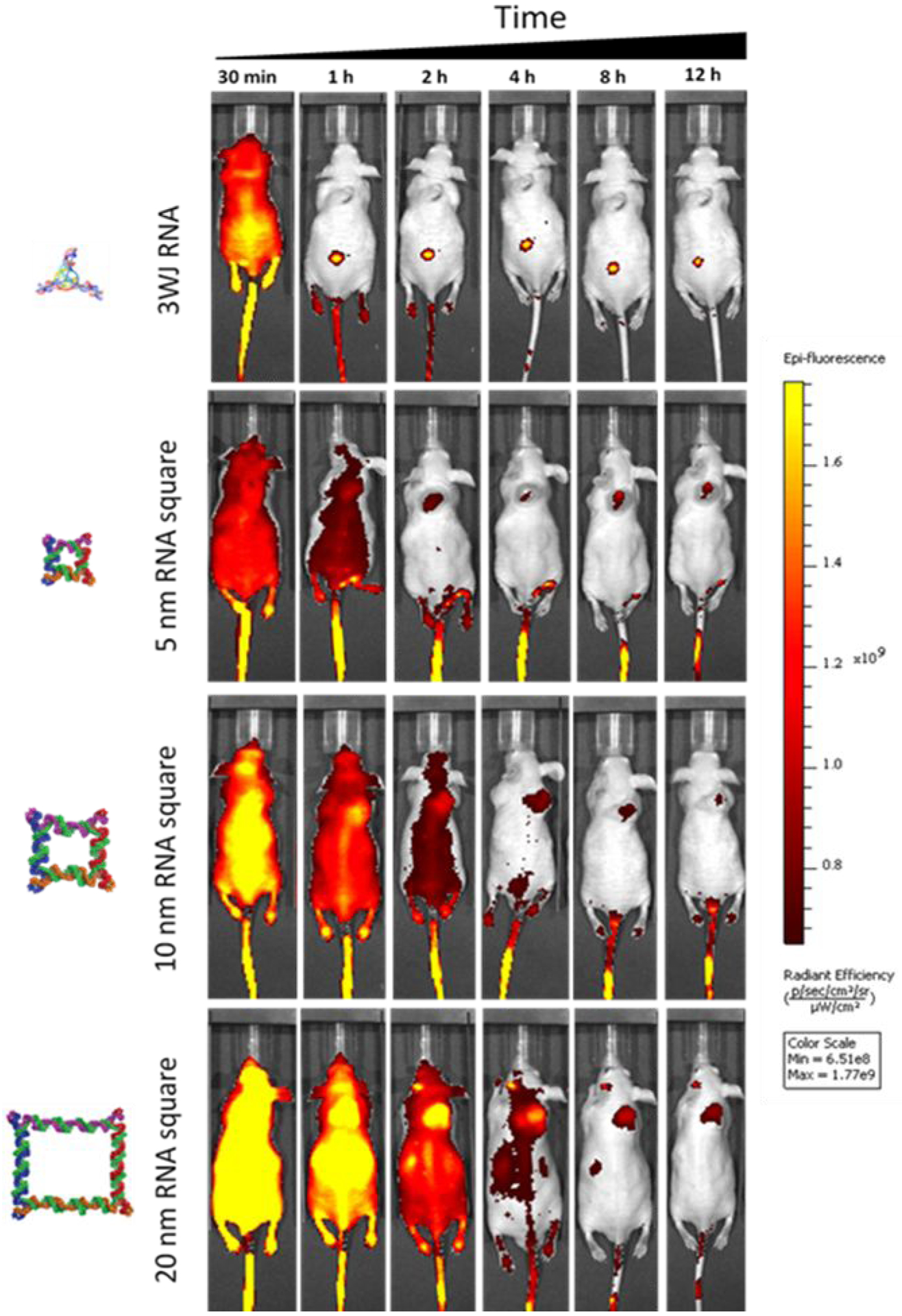 Fig. 6.