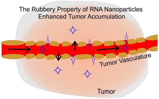 graphic file with name nihms-1651547-f0001.jpg