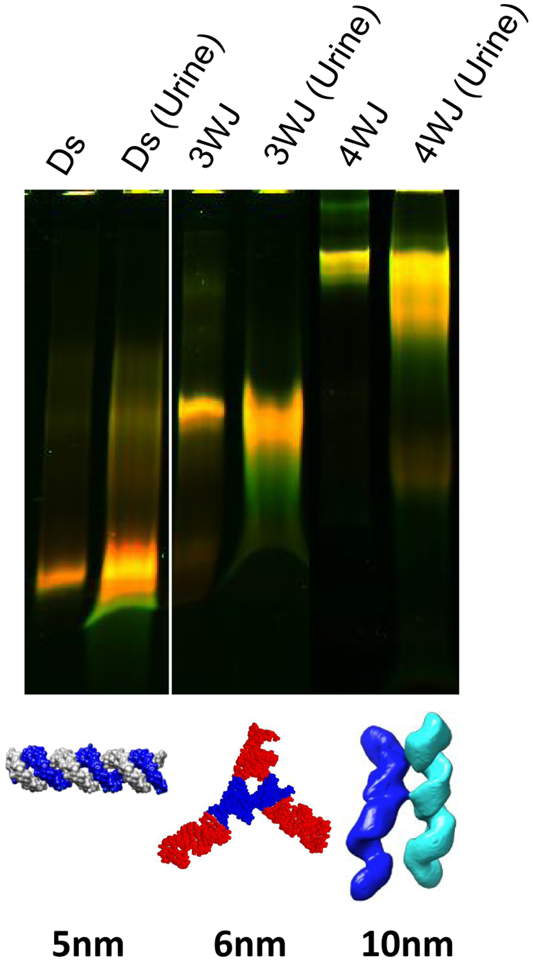 Fig. 8.