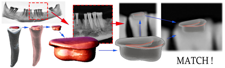 Figure 10