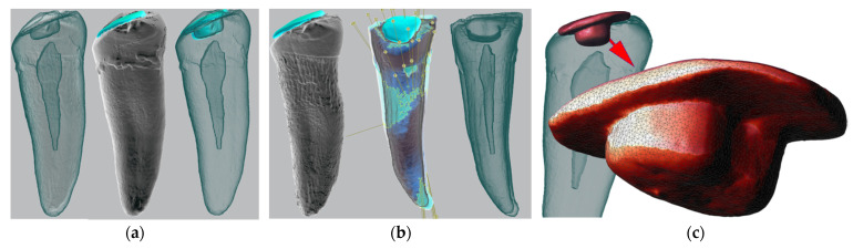 Figure 7