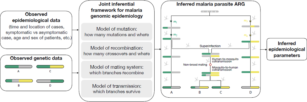 Figure 3: