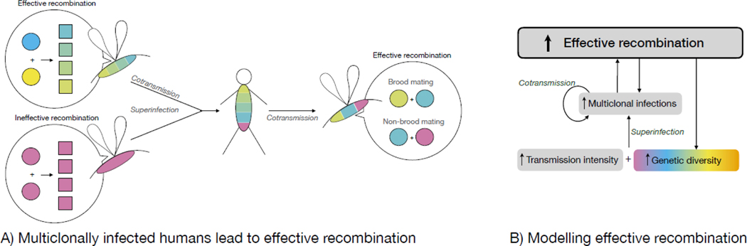 Figure 1: