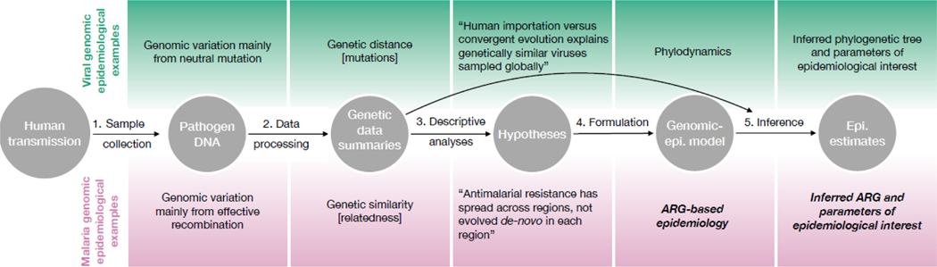 Figure 2: