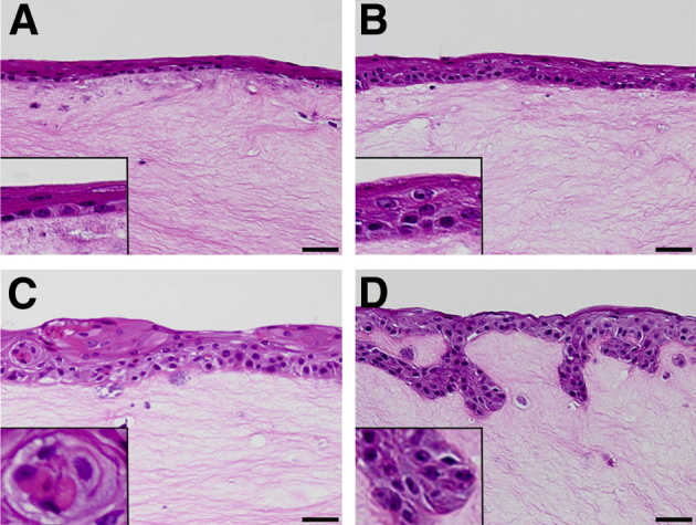 Figure 5