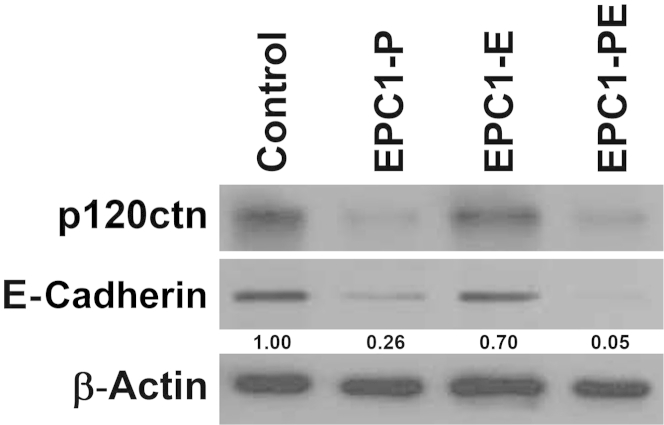 Figure 9