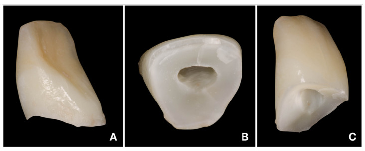 Figure 6