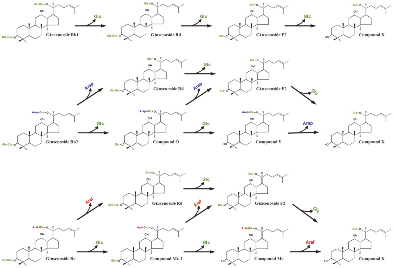 Fig. 3