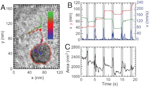 Fig. 2.