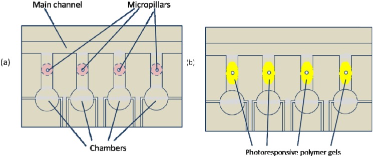 Figure 27