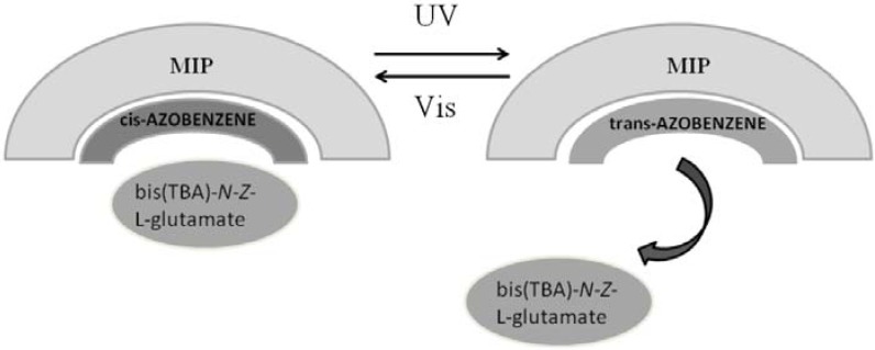 Figure 21