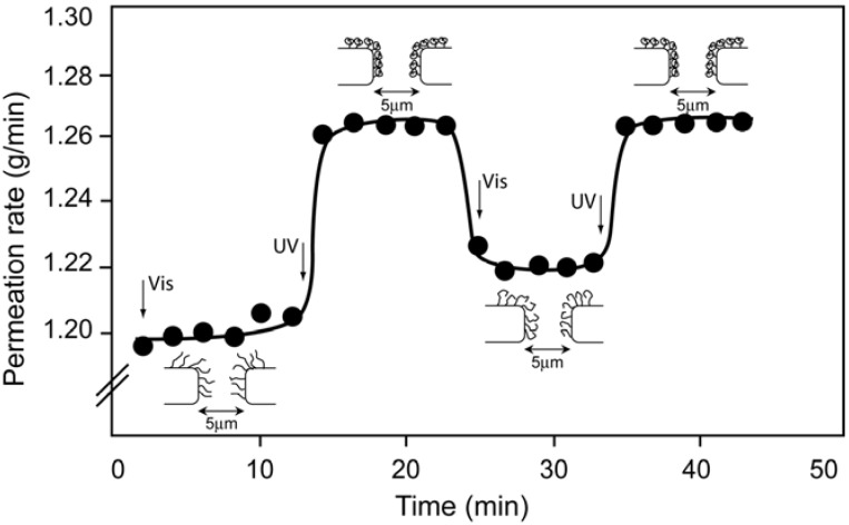 Figure 15