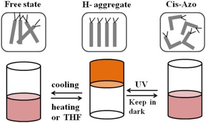 Figure 23