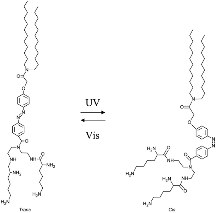 Figure 42