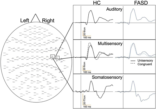 Figure 1: