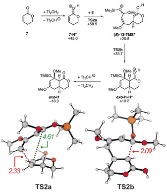 Scheme 7