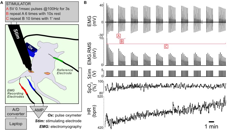 FIGURE 1