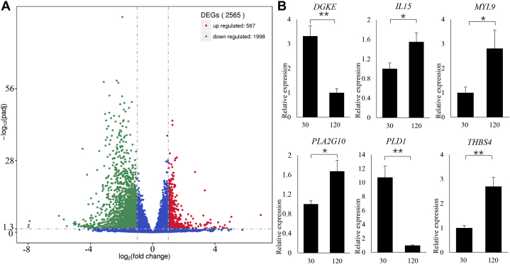 Figure 2