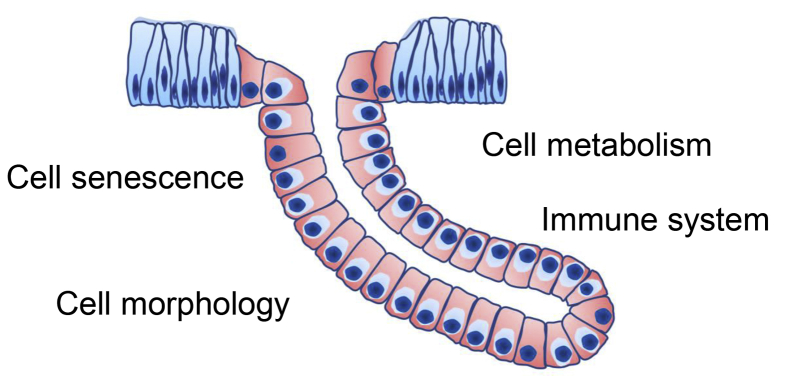 Figure 6