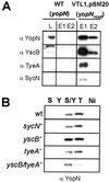 FIG. 5