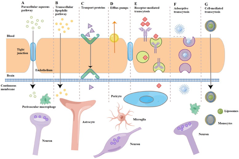 Figure 2.