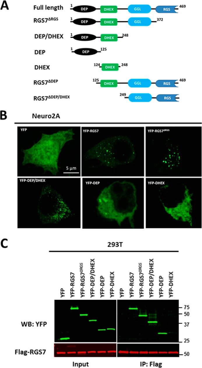 FIGURE 6.