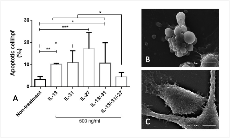 Fig 8