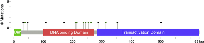 Figure 2: