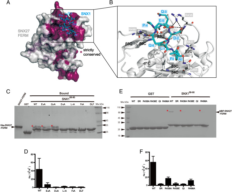 Fig. 4.