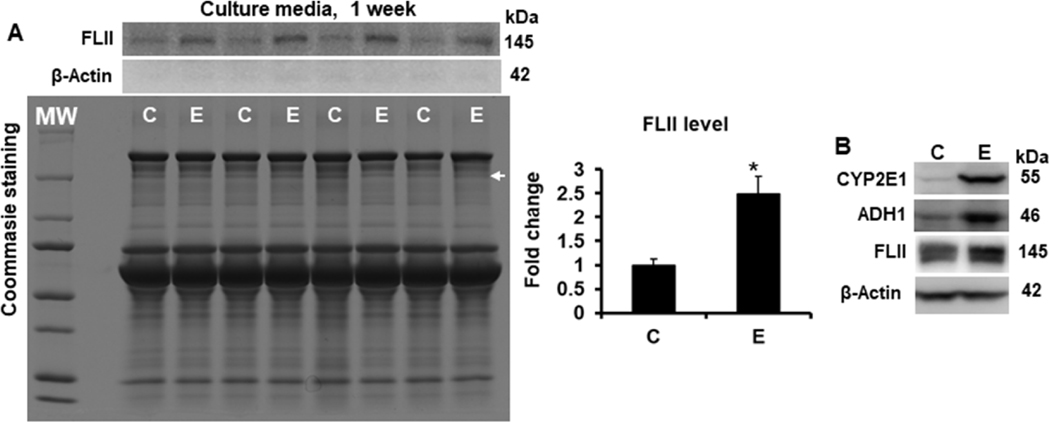 Fig. 8.