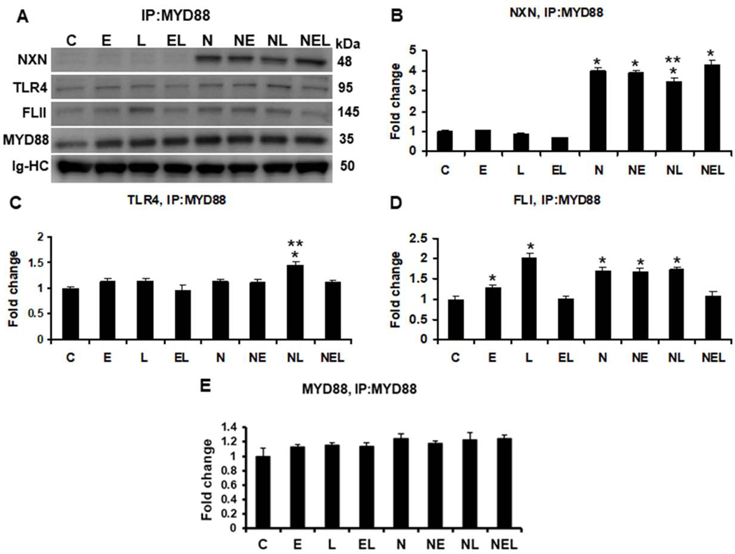 Fig. 4.