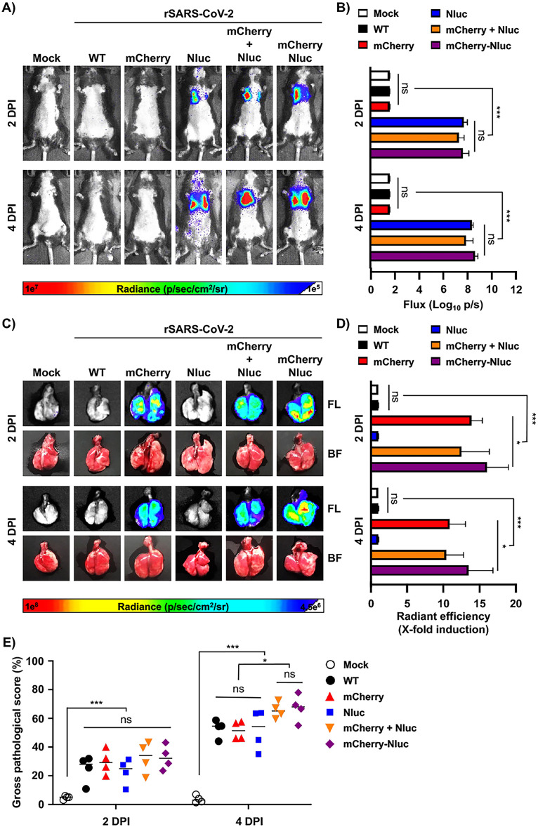 FIG 6