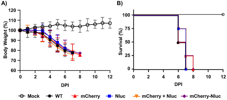 FIG 4