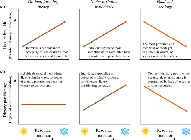 Three sets of predictions about how large mammalian herbivores should respond to seasonal resource variation.