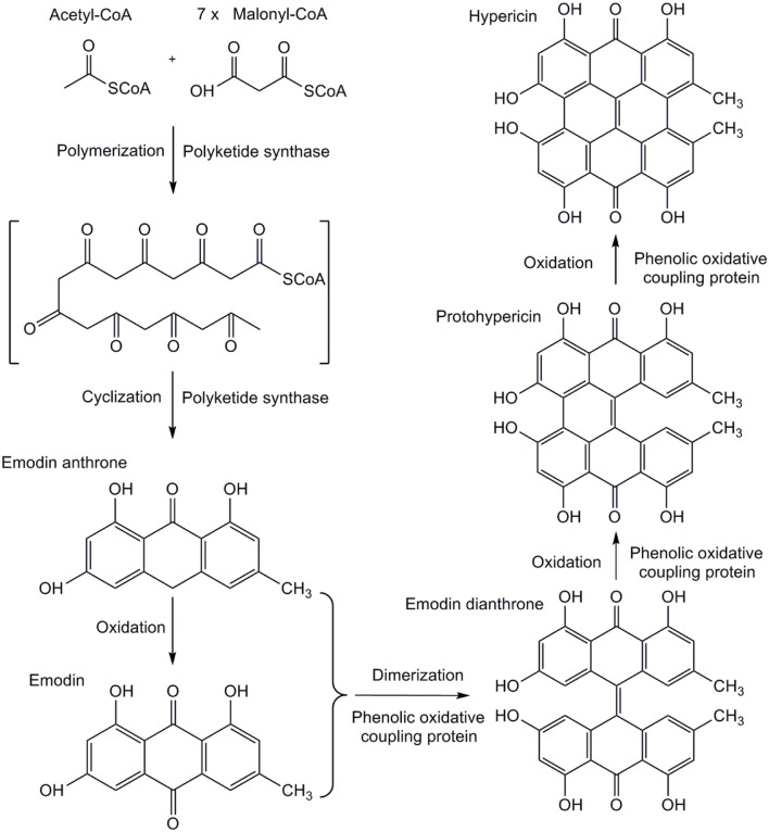 FIGURE 1