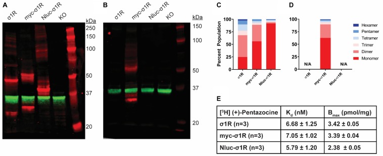 FIGURE 3