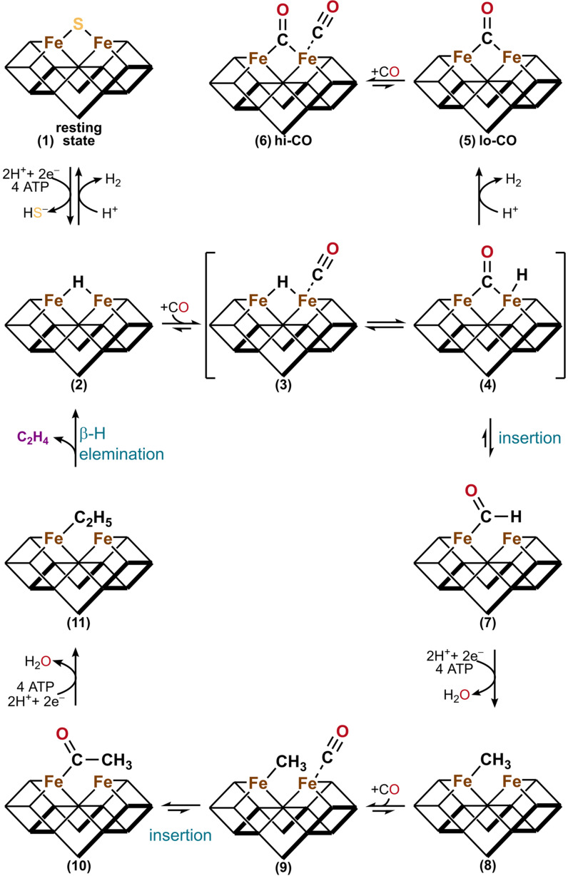 Scheme 1