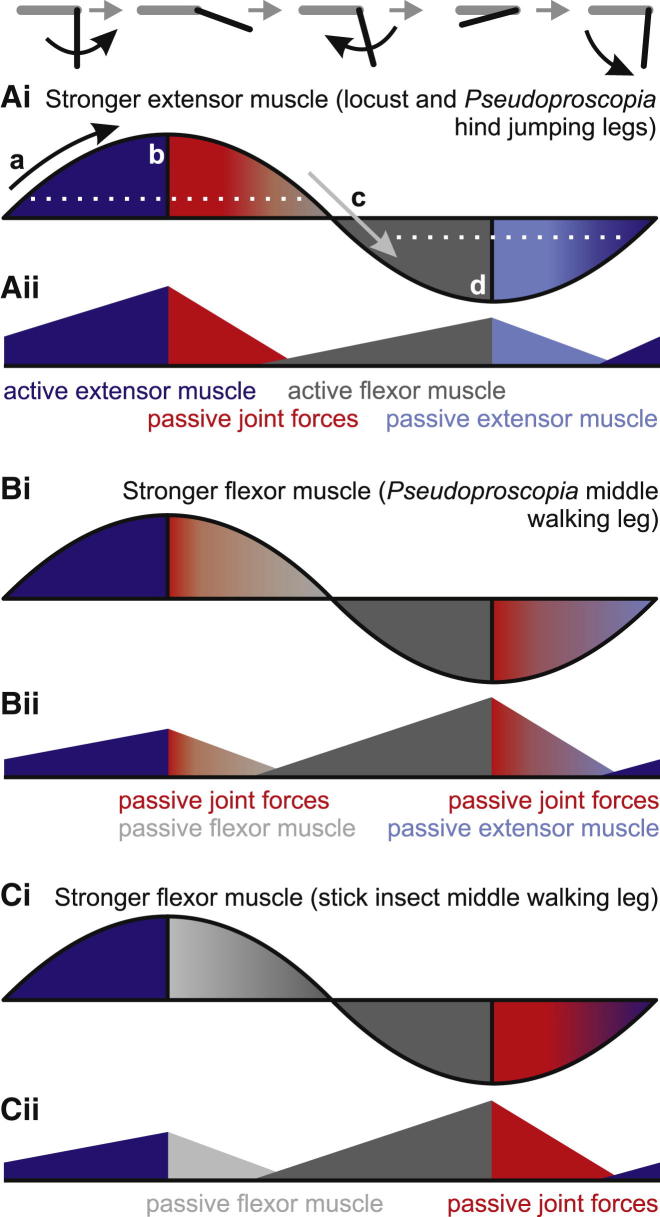 Figure 6