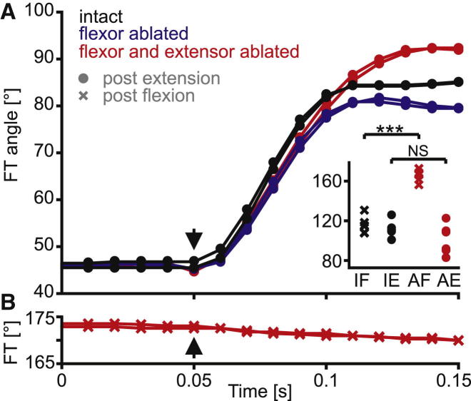 Figure 4