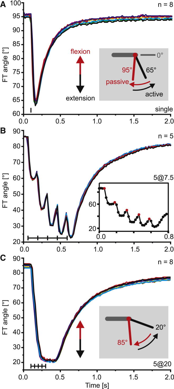 Figure 1