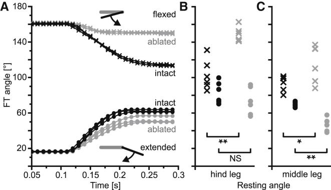 Figure 5