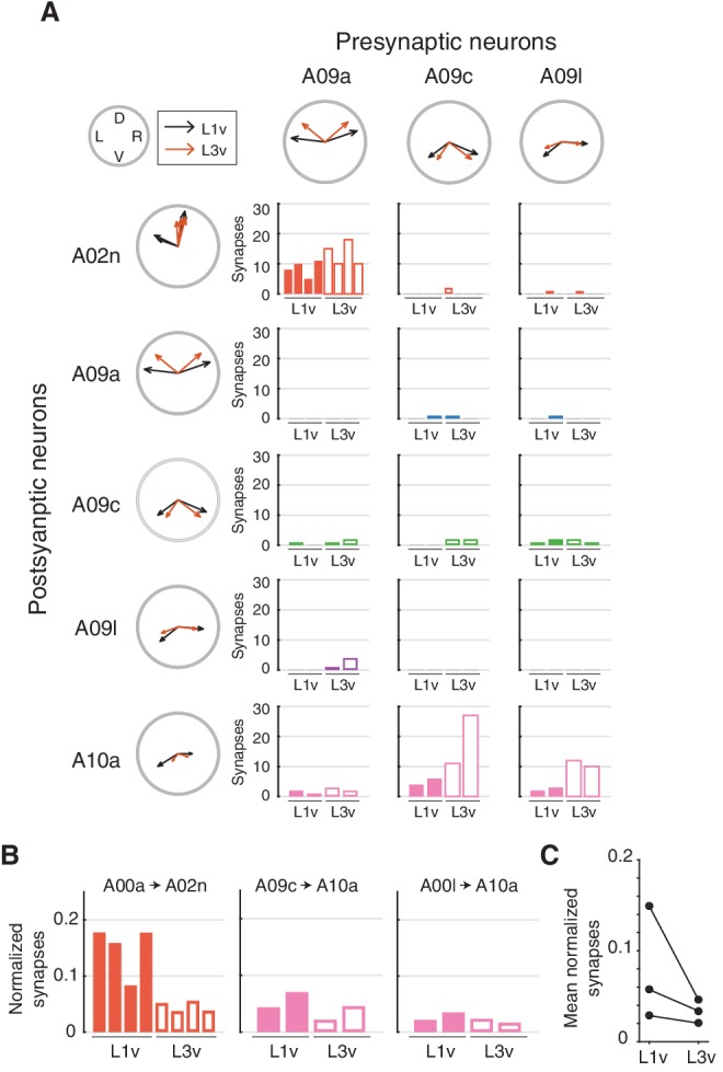 Figure 3—figure supplement 1.