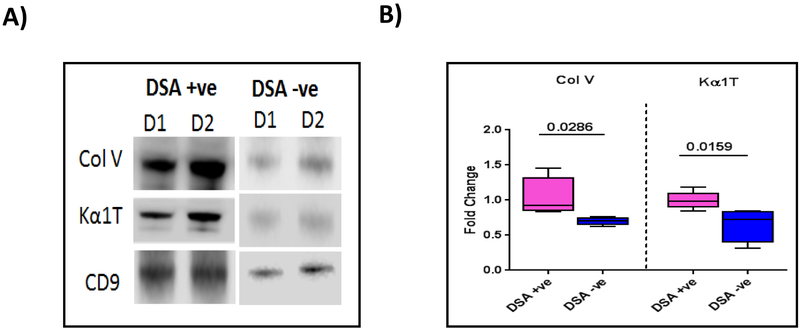 Figure 6: