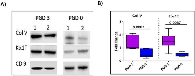 Figure 3: