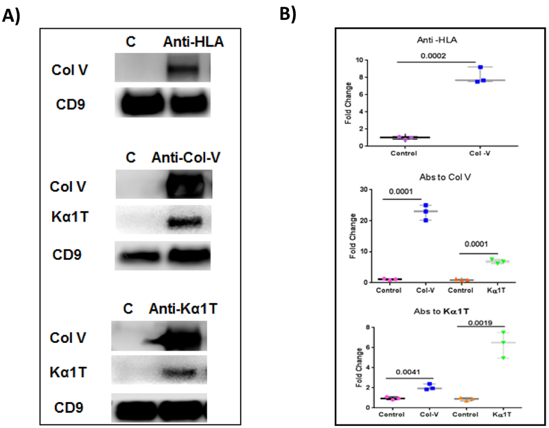 Figure 7: