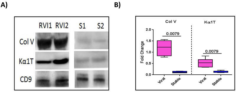 Figure 5: