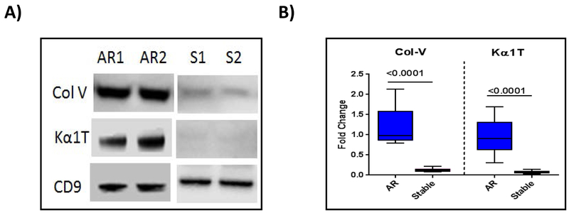 Figure 4: