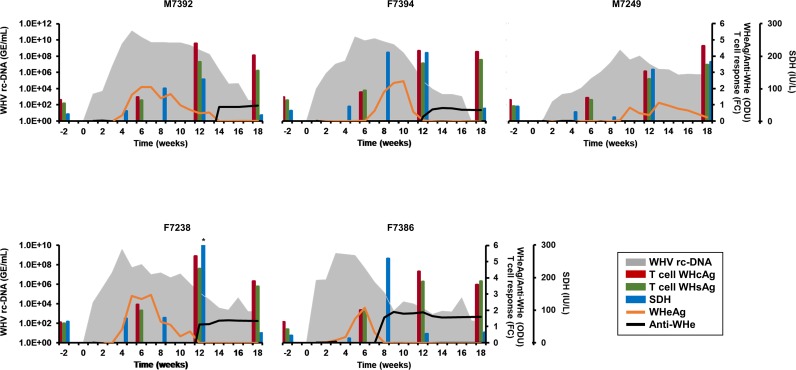 Fig 1