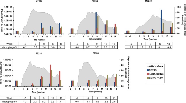 Fig 4