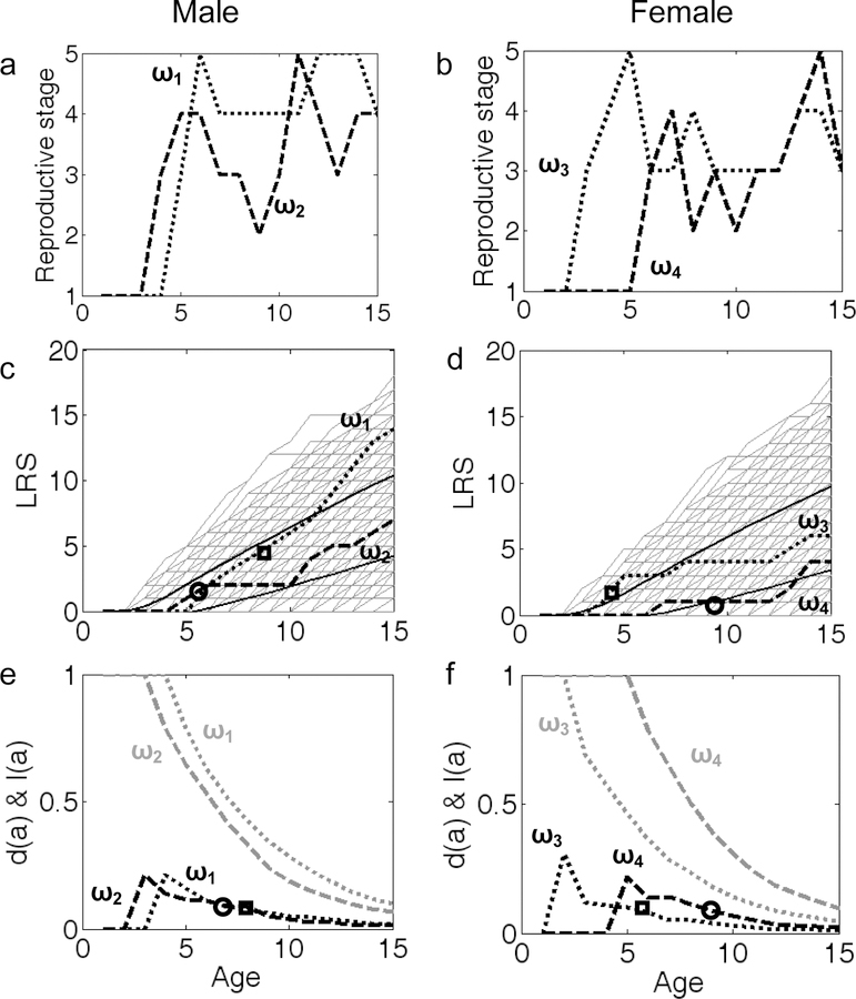 Fig 1: